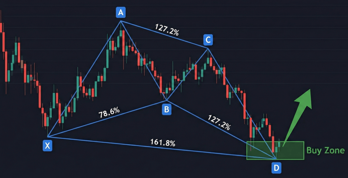 강세 나비 패턴